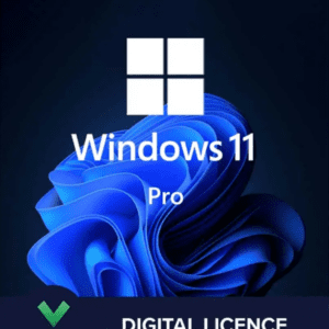 Microsoft Windows 11 Professional