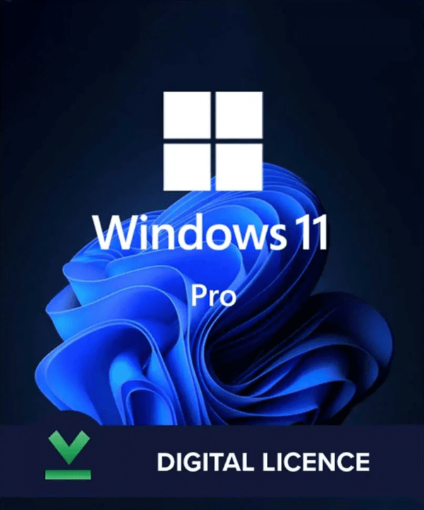 Microsoft Windows 11 Professional